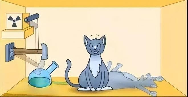 “薛定谔的猫”真的“既死又活”吗？为什么没有人做实验来验证？
