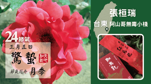 2024惊蛰节气：春雷始鸣，万物复苏