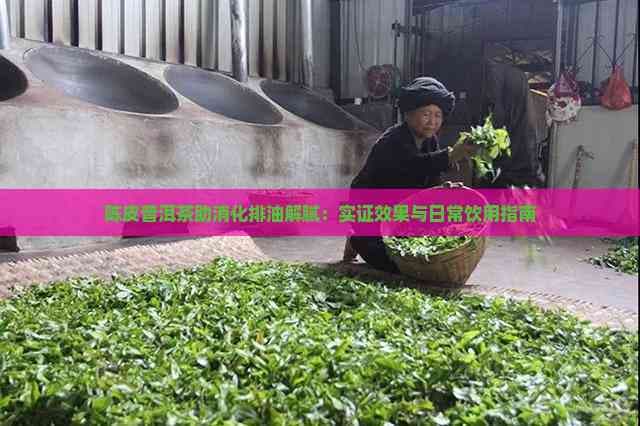 陈皮普洱茶助消化排油解腻：实证效果与日常饮用指南