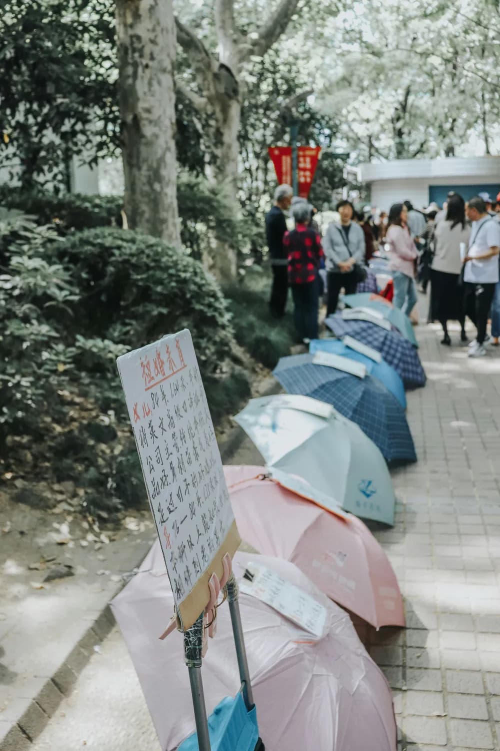 年轻人整顿相亲角，恋爱观大变天