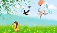 清明踏青：穿越时光的芳菲之约