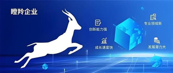 瞪羚企业崛起！政府报告揭示商业市场新机遇！
