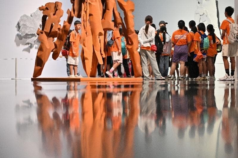 研学游价格是普通旅行团两三倍？行业人士支招如何不被割韭菜