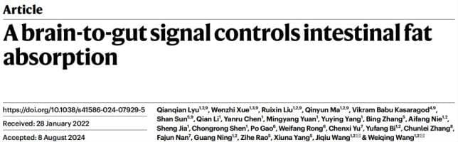 重磅！Nature发表中国团队重要发现：脑肠轴调控体重机制获突破