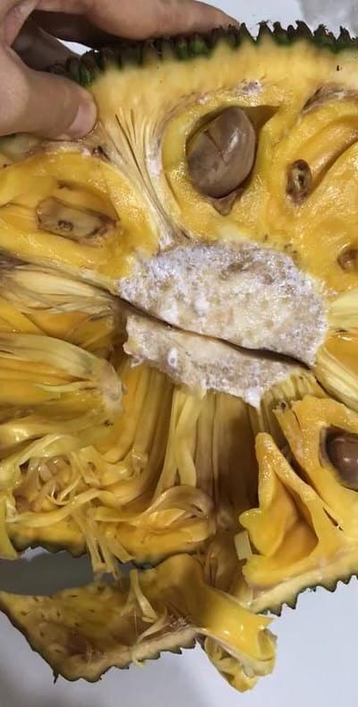 菠萝蜜的胶怎么洗掉？多种实用清洗方法详解