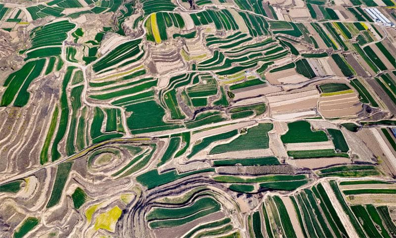 外媒关注黄土高原治理项目：中国在水土保持方面位居世界前列