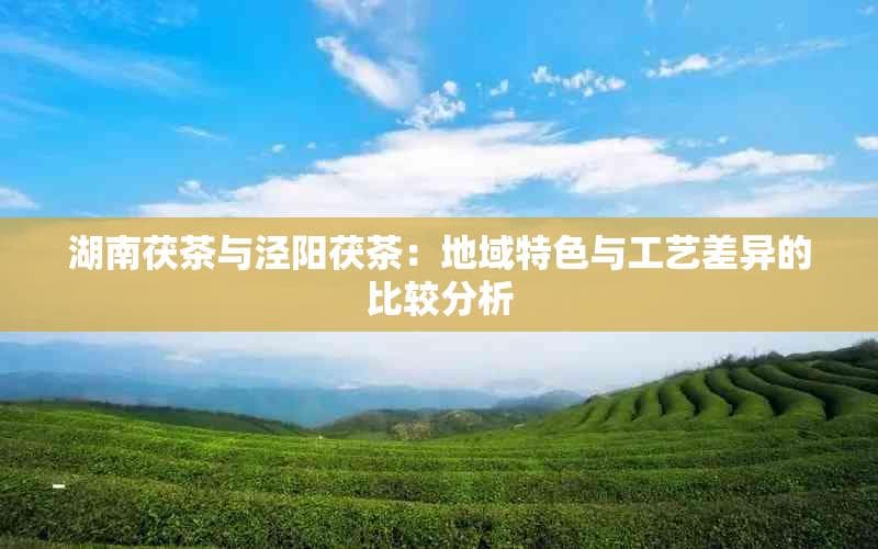 湖南茯茶与泾阳茯茶：地域特色与工艺差异的比较分析
