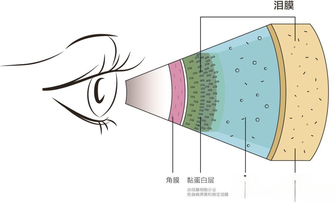 偏爱女性的5种眼部疾病，做好这些就能预防
