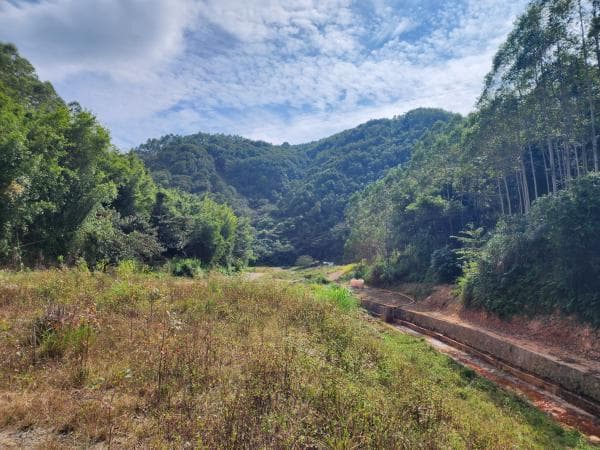水龙尾矿区地下水污染治理案例：五级联动打造环保示范工程