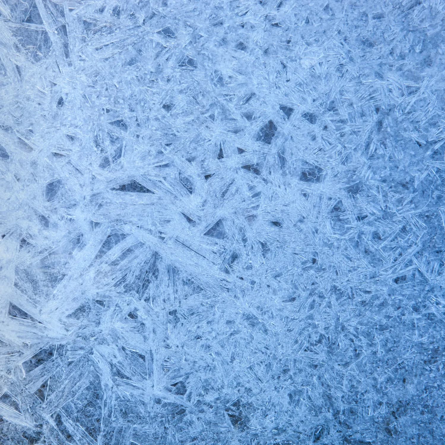 《冰雪奇缘》：让孩子边看边学英语