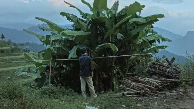 《路边野餐》十年了
