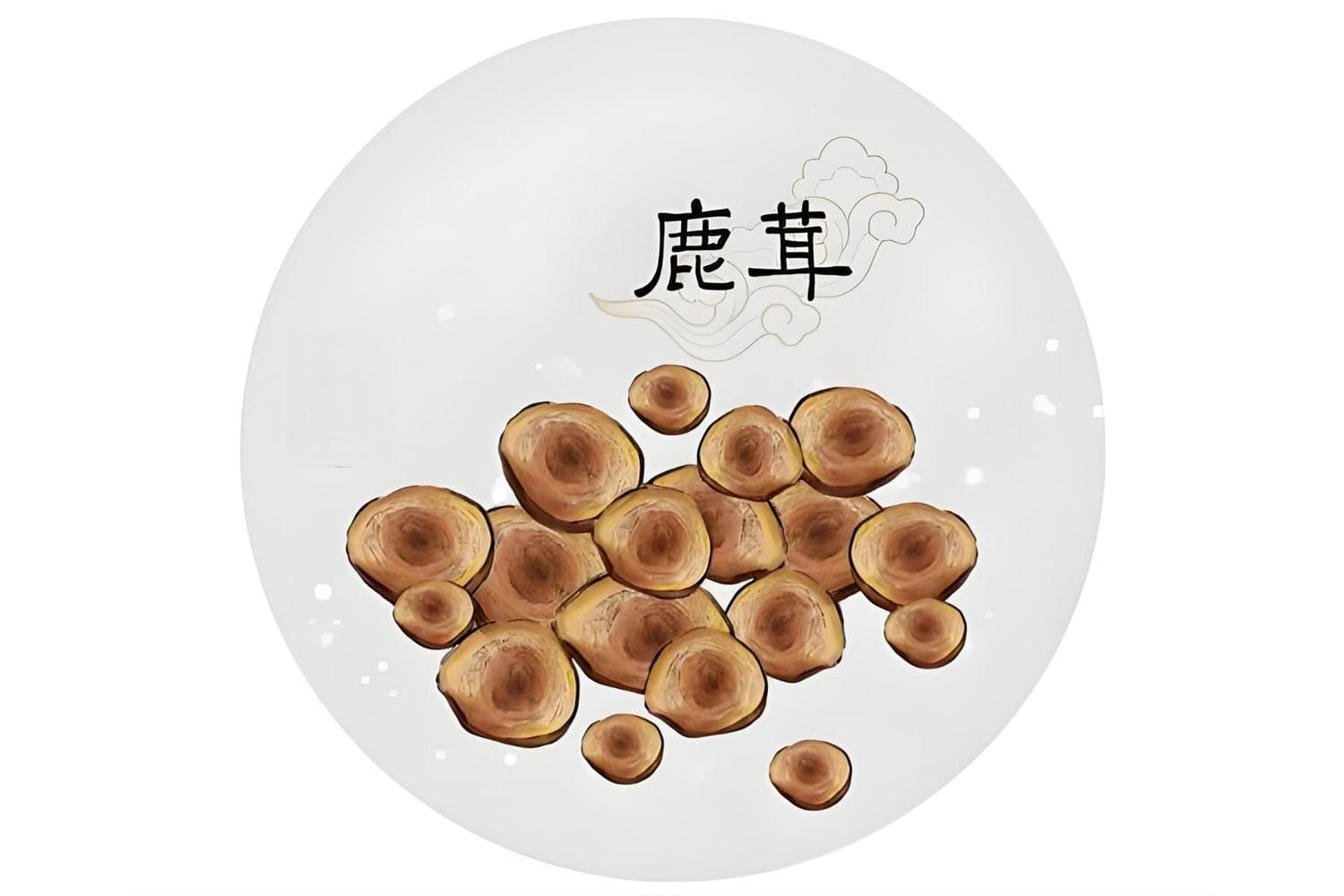 鹿茸的不同炮制方法及功效