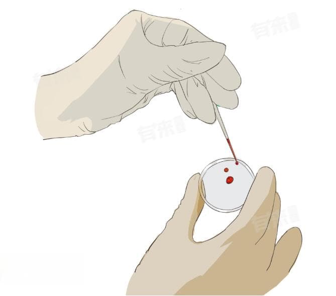 O型和B型父母所生孩子的血型会是什么？一文读懂血型遗传与产前检查