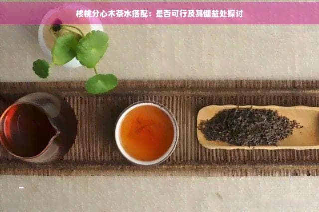 核桃分心木茶水搭配：是否可行及其健益处探讨
