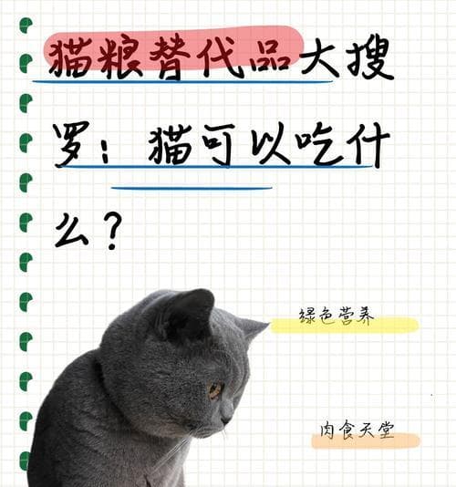没有猫粮时养猫应该吃什么替代食物？替代猫粮的健康选择有哪些？