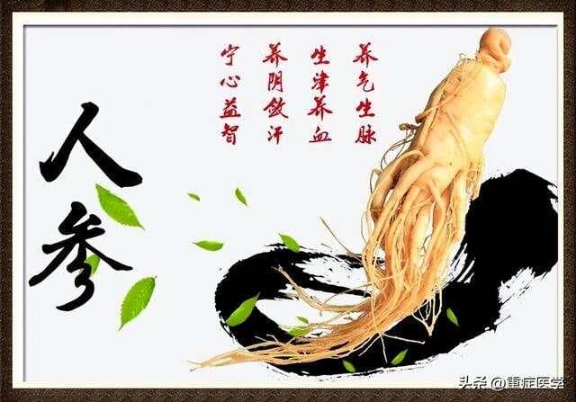 十种补气的中药