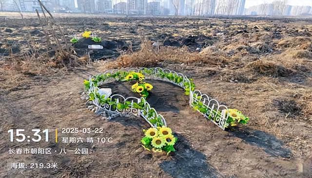 宠物殡葬调查：随意埋葬违法，无害化处理面临困境