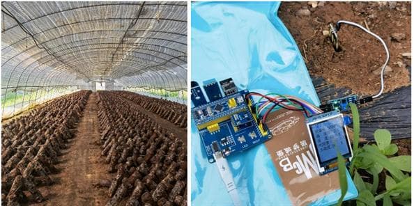 智能大棚新方案：STM32与ESP8266实现环境监测与控制