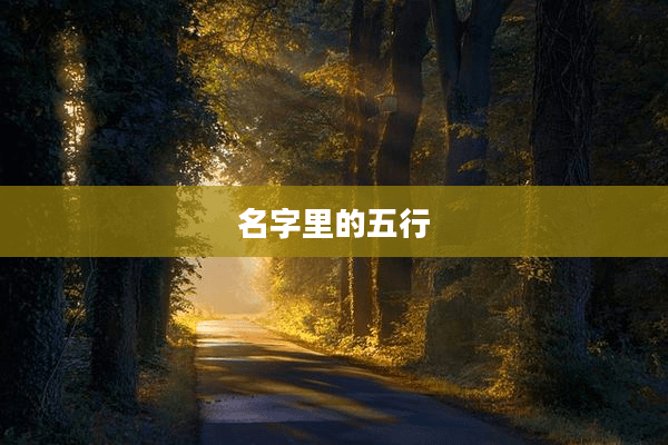名字里的五行：从古至今的传统文化密码