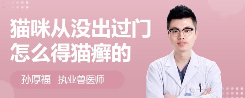 猫咪从没出过门怎么得猫癣的