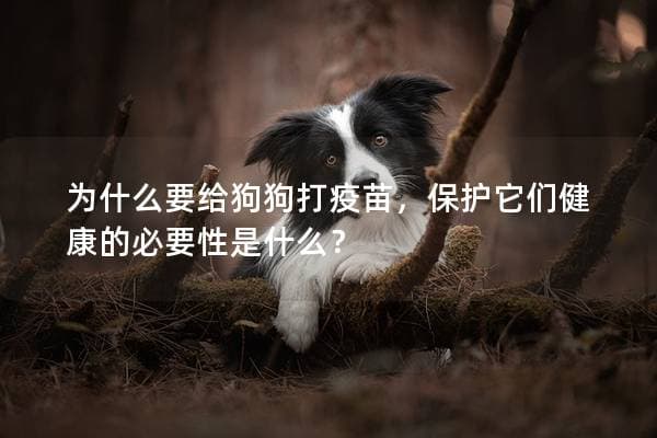 为什么要给狗狗打疫苗，保护它们健康的必要性是什么？