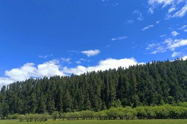 大理鸡足山旅游攻略：门票、交通与景点全解析