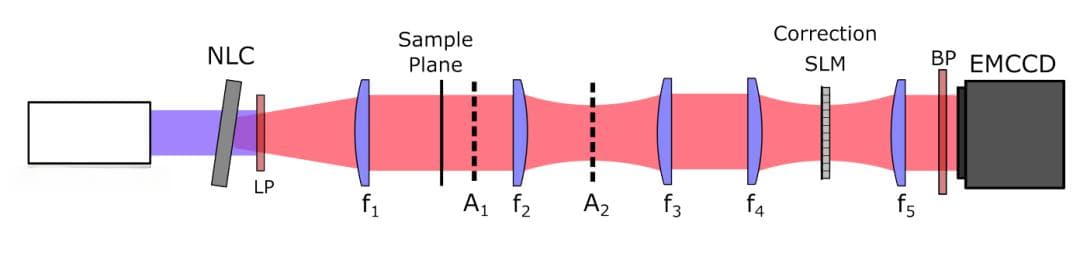 量子纠缠突破显微成像极限，剑桥大学团队开发新型量子辅助自适应光学技术