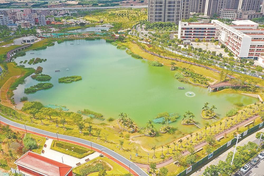 厦门：呼吸吐纳，“大海绵”破解“城市病”