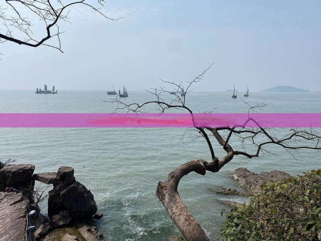 海南岛举办30人旅游婚礼完整预算指南：费用解析与策划建议