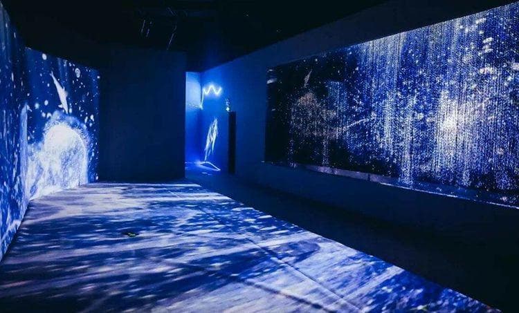 展厅展览与展示形式全解析：从艺术到科技的多样化呈现