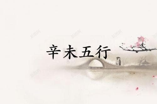 辛未五行属什么