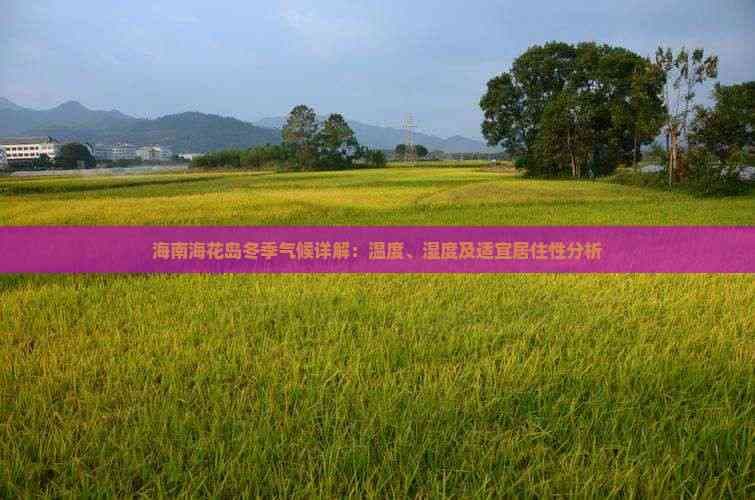 海南海花岛冬季气候详解：温度、湿度及适宜居住性分析