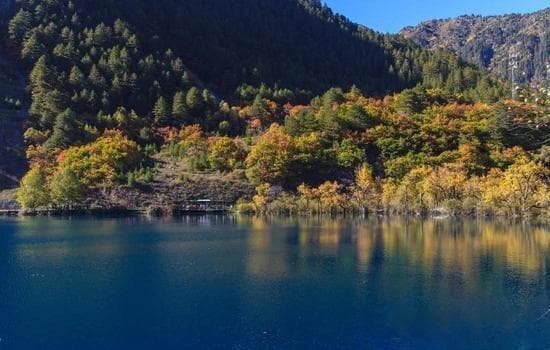 特效师行业洞察：未来趋势与发展前景分析