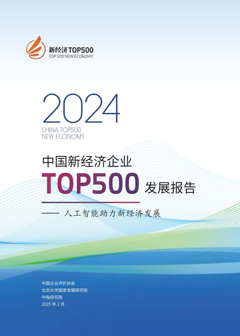 中国企业评价协会：2024年中国新经济企业top500发展报告