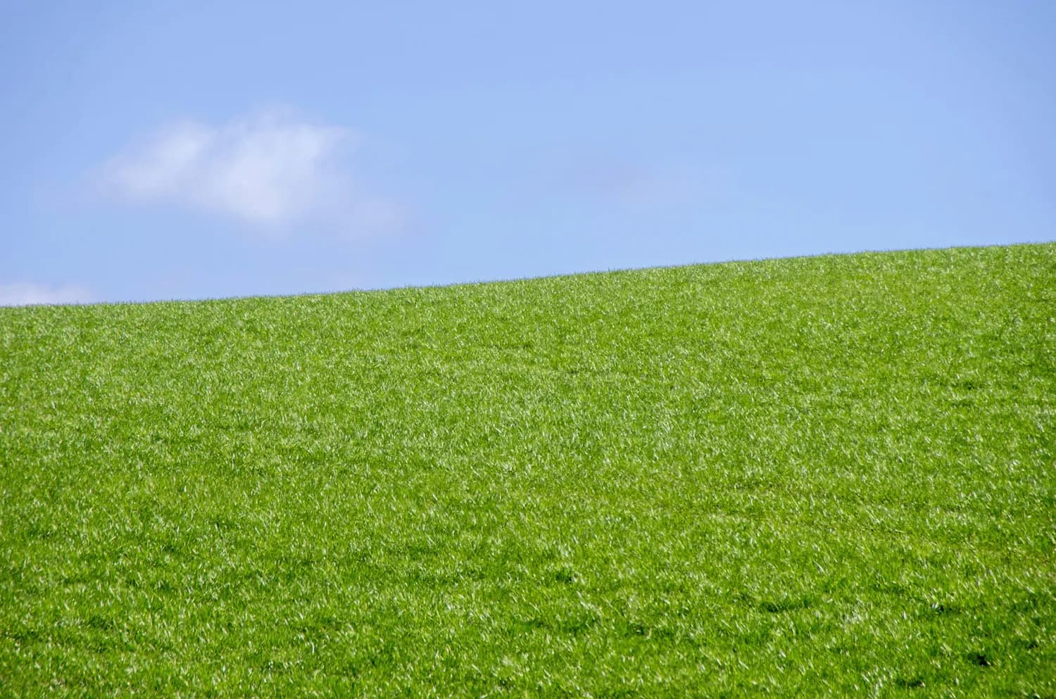 Windows XP新手必学：电脑快捷键大揭秘！