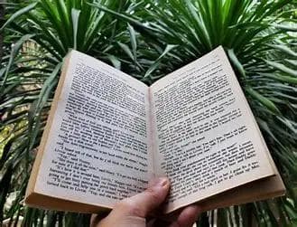 心灵深呼吸：焦虑症养生指南与自我疗愈