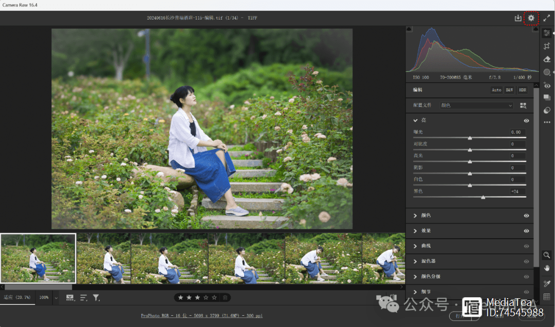 Camera Raw：首选项