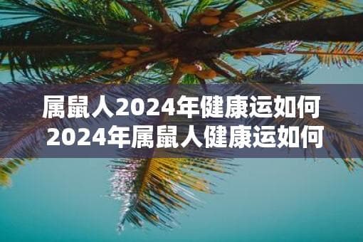 2024年属鼠人健康指南：从饮食到心理的全方位建议