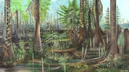 世界地质遗产地系列3：乌达二叠纪植被化石，远古地球的绿色记忆