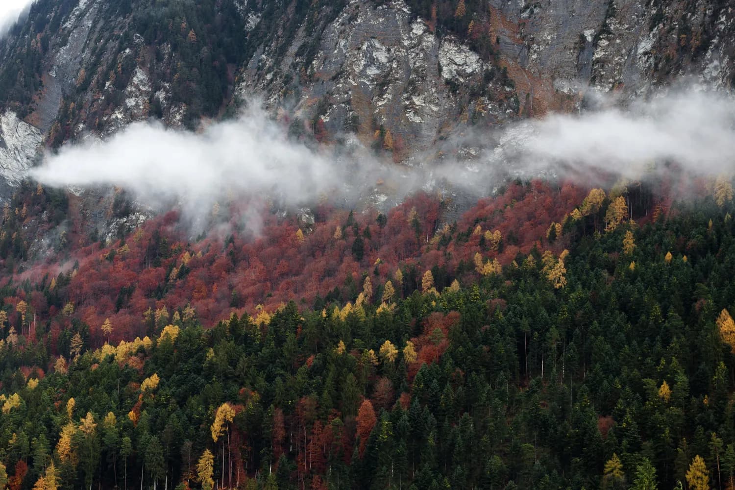 京津冀最美自驾游打卡地：雾灵山、北戴河、草原天路