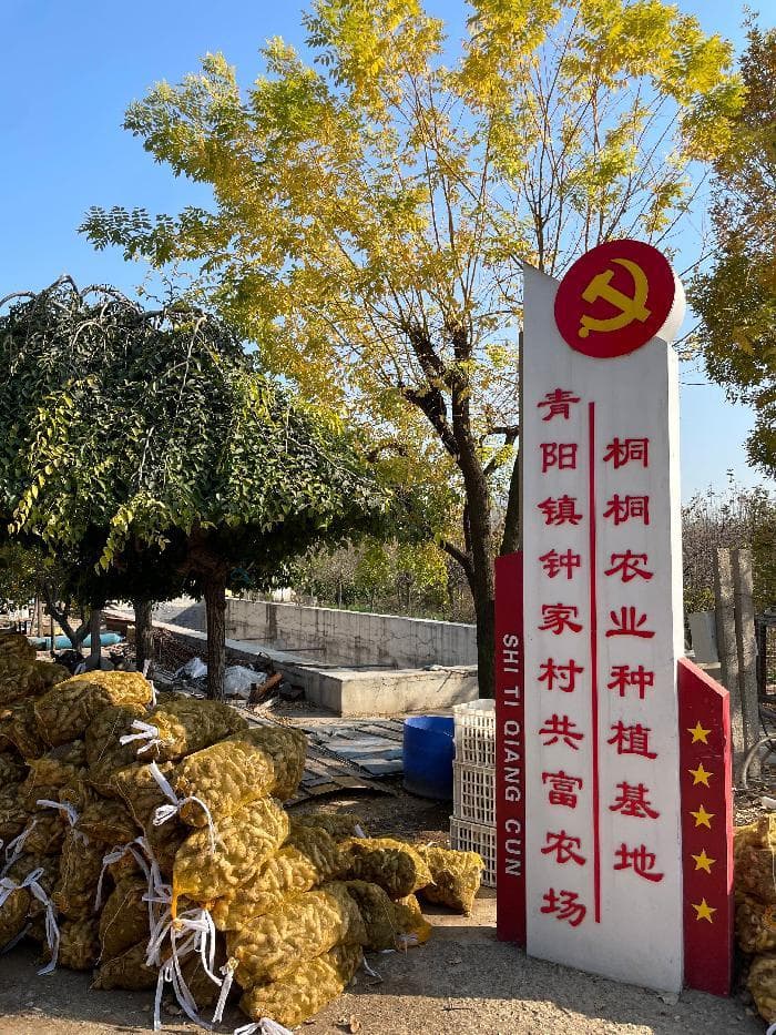 【蒲湖新语】乡村振兴的鲜活样本——钟家村生姜种植产业