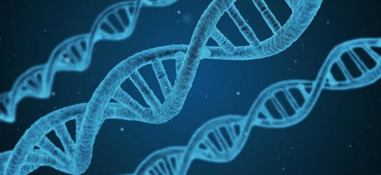 Word文档安全设置指南：密码保护、权限限制与内容防护