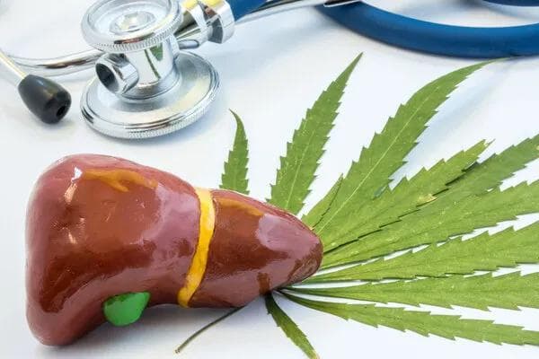 肉桂对肝脏有损害吗？专家解读其安全食用指南