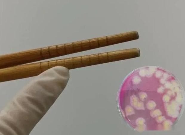 开水烫餐具能消毒吗？一项860双筷子的实验说出了真相