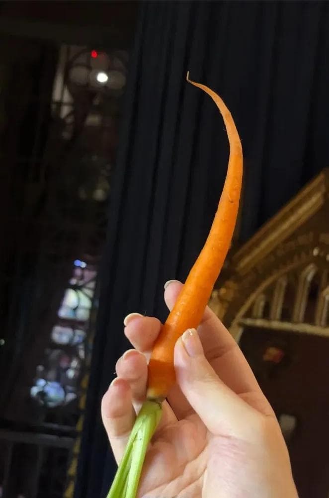 各位巫师，请查收这份全网最全魔杖指南
