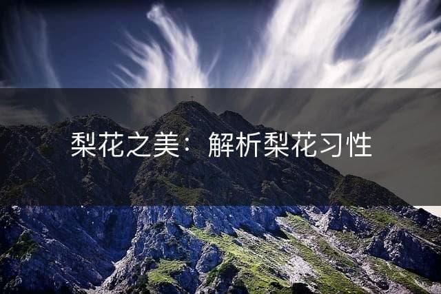 梨花之美：解析梨花习性
