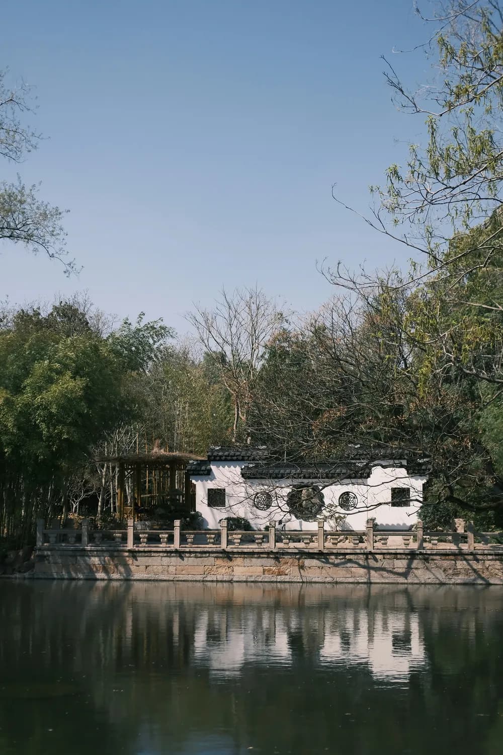 探秘杭州西溪湿地：城市绿肺的文化瑰宝