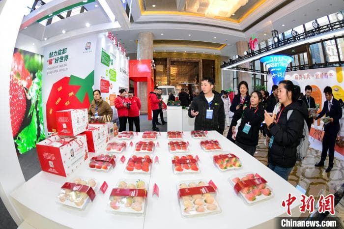 中国草莓栽培面积近300万亩产量居全球第一