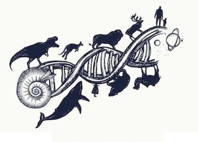长得越好看的女人，越聪明 | 心理学科普：长相与智商的关联性