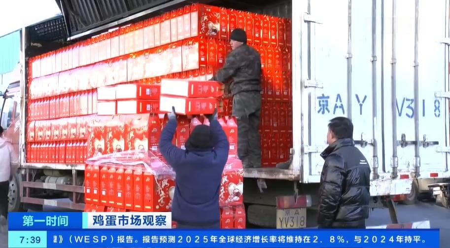 鸡蛋消费进入旺季 蛋鸡养殖效益处于高水平 养殖户积极扩栏